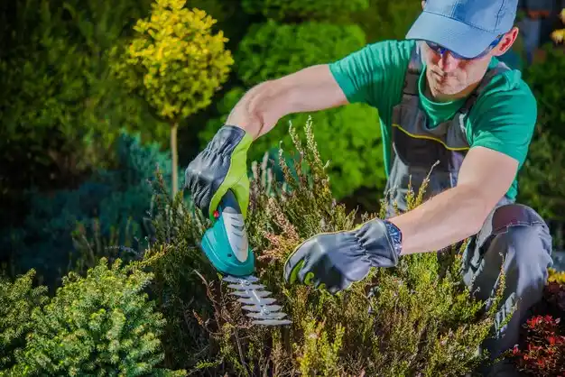 landscaping services Navarre